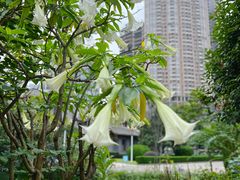 -四川大学(华西校区)