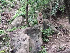 -黔灵山公园