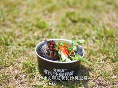 -董顺桃小粒臭豆腐(太平街一店)