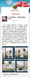 -婚礼美学