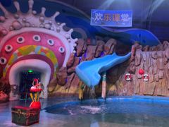 -烟台海昌鲸鲨海洋公园