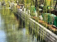 -环城公园