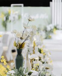 -明典婚礼策划·婚车租赁·婚纱摄影