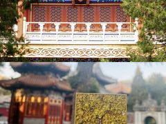 -承恩寺