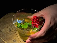 -Shift cocktail bar鸡尾酒吧