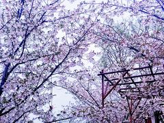 -雅达·阳羡溪山小镇中心