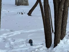 -哈尔滨文化公园