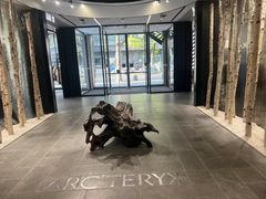 -ARC'TERYX始祖鸟(北京王府中环店)