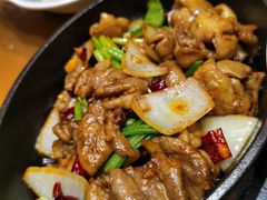 干锅尖椒肥肠-老厨家(中央大街西七道街店)