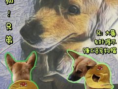 -瑞虹新天地月亮湾