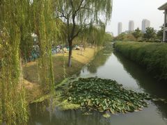 -江南大学(蠡湖校区)
