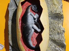 -重庆科技馆