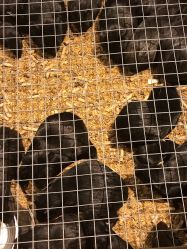 -酷嗒动物文化乐园(cutezoo西溪乐天城店)