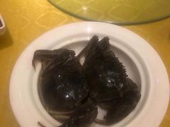 -鹿港小镇经典老上海菜(长乐路店)