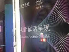 -万达影城(汉街万达广场IMAX店)