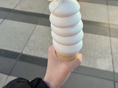 -DQ·蛋糕·冰淇淋(天一2店)