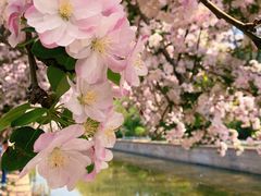 -海棠花溪(元大都城垣遗址公园)