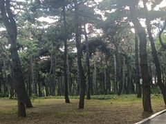 -长春市南湖公园