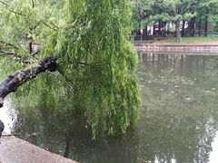 android_upload_pic-八大关景区