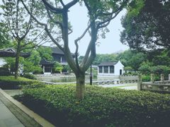 -红梅公园
