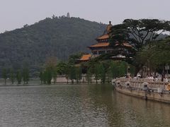 -顺峰山公园