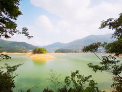 -广州市流溪河国家森林公园