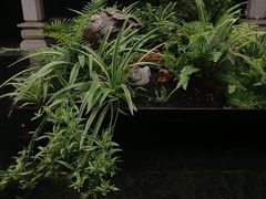 -荔湾湖公园