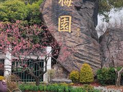 -无锡梅园公园