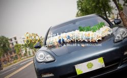 -上海万豪虹桥大酒店·宴会厅