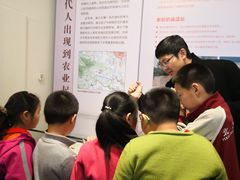 -北京大学赛克勒考古与艺术博物馆