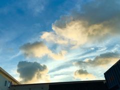 -海吉星国际农产品物流管理有限公司