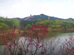 -龙口南山旅游景区