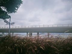 -演武大桥观景平台