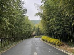 -苏州环秀晓筑养生度假村