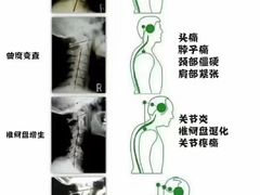 -名医堂·颈肩腰腿特色调理(浦三路店)