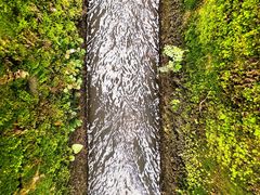 -桤木河湿地公园