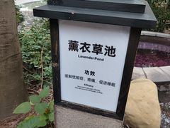 -融汇温泉