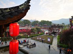 -印象鲵宴·张家界地标美食名片(溪布街店)