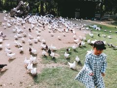 -南通洲际绿博园