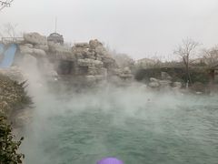 -仁爱团泊湖温泉中心