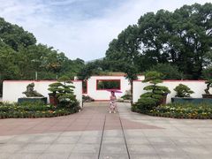 -南山植物园