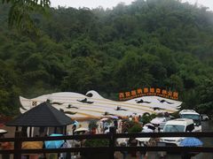 -西双版纳原始森林公园