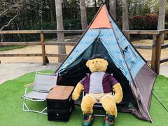 -济州岛泰迪熊博物馆