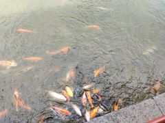 -珠海圆明新园