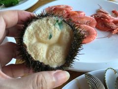 海胆蒸蛋-蓝湾碧波·老字号·疍家非遗海上餐厅