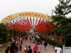 -清溪大王山森林公园