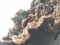 -闻道万巷咖啡馆(南大街地铁站店)