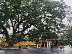 -桂林两江四湖景区