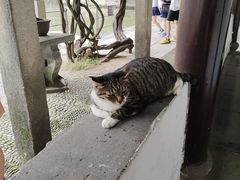-西园戒幢律寺