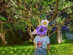 -广交会威斯汀酒店